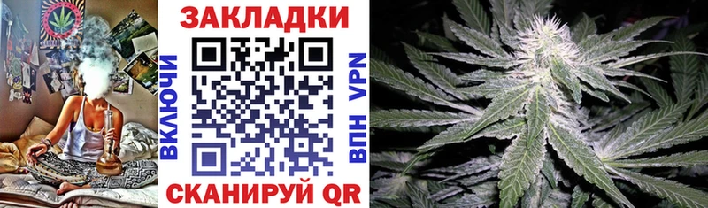 Галлюциногенные грибы Бакал