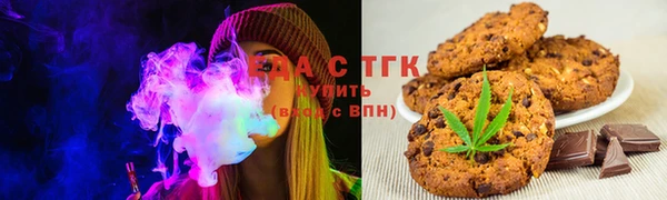 гашик Аркадак