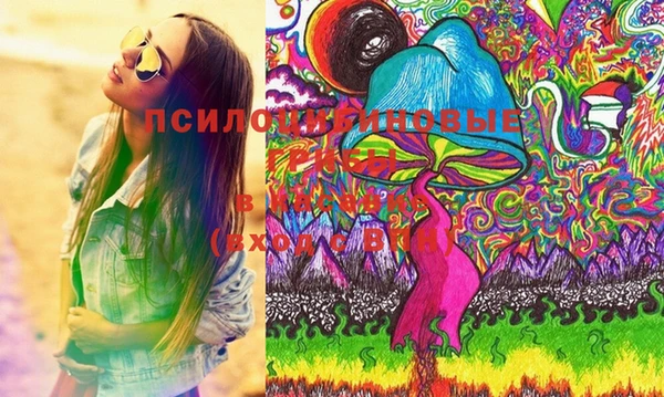 гашик Аркадак
