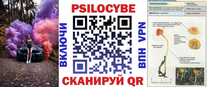 Псилоцибиновые грибы Psilocybe  мега ссылки  Бакал 